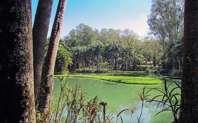 Lago emoldurado por árvores nos jardins do Instituto Inhotim, em Brumadinho